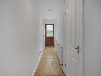 Picture 38